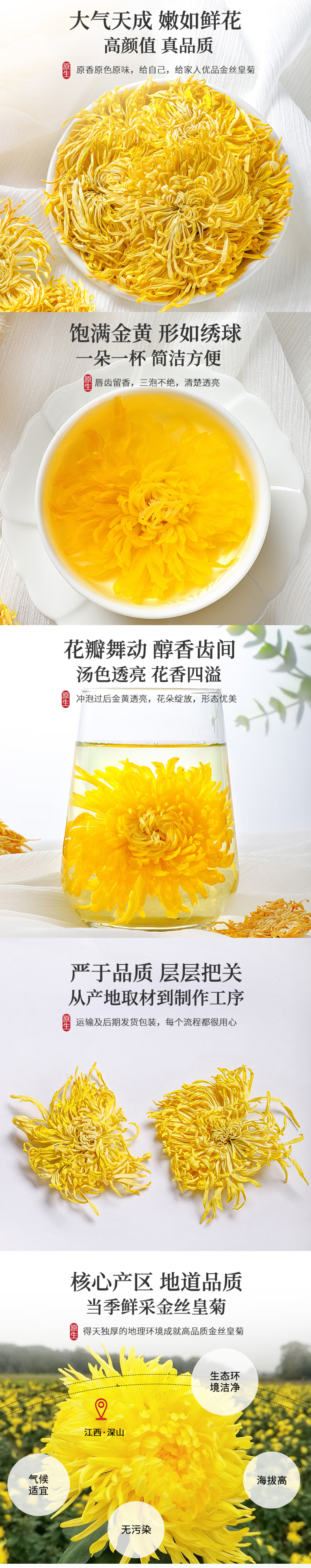 金丝皇菊.jpg